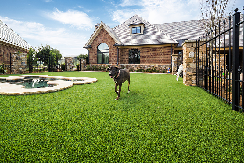 Premium Artificial Lawns for Homes and Businesses